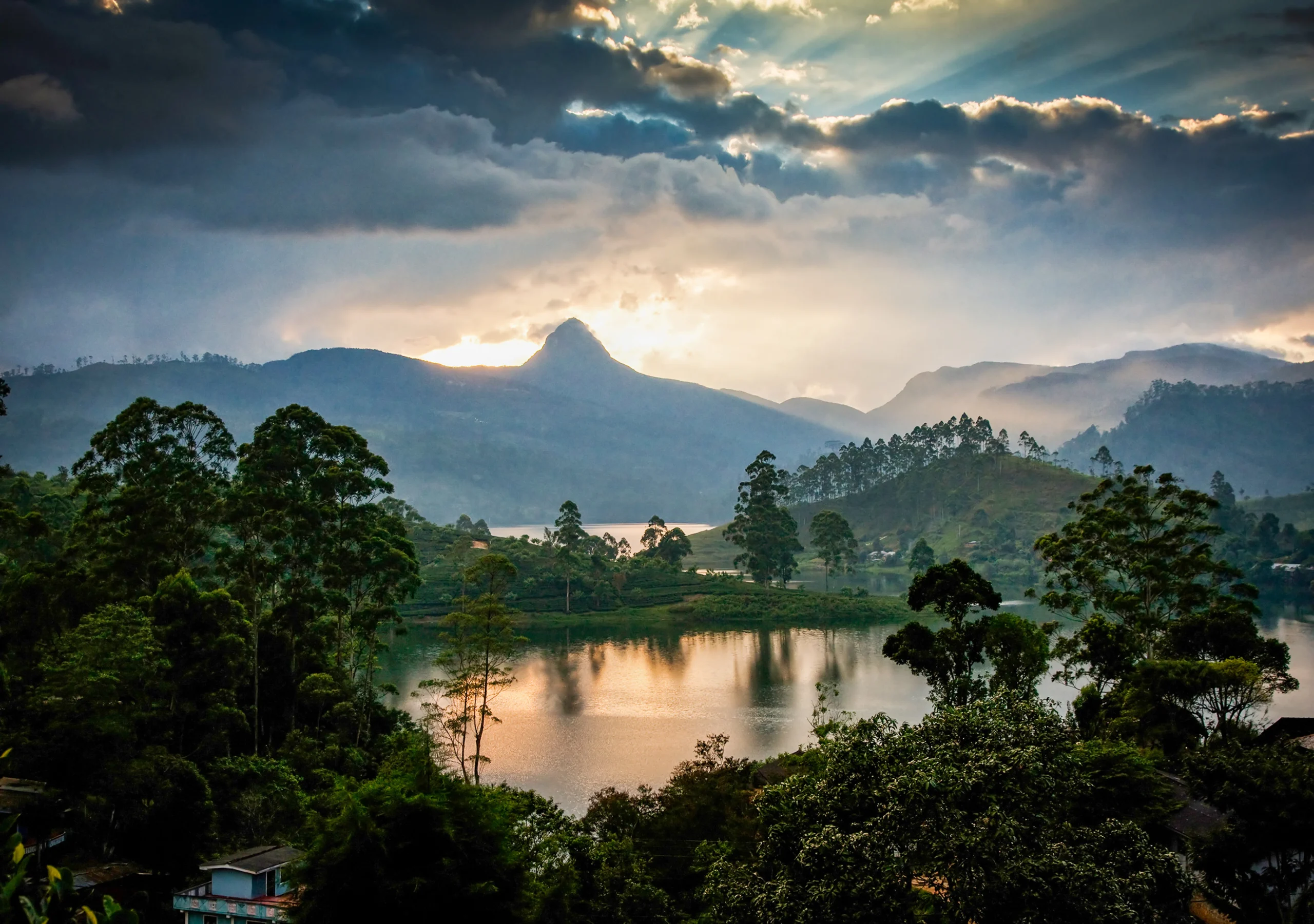 Nuwara Eliya Highlands Tour