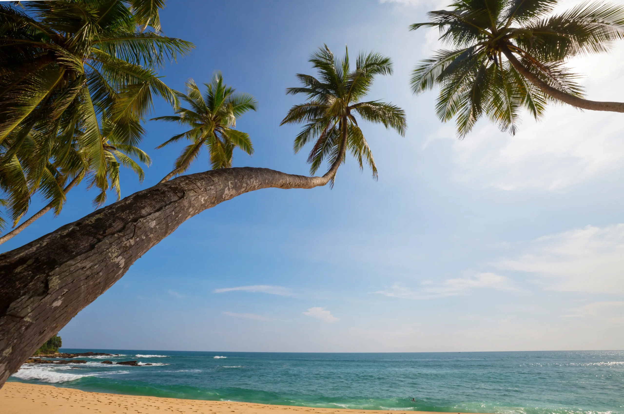Tropical Beach Sri Lanka